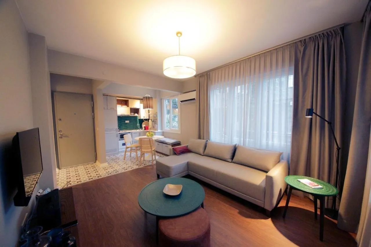 Superior Refurbished Flat In The Heart Of Istanbul Apartment