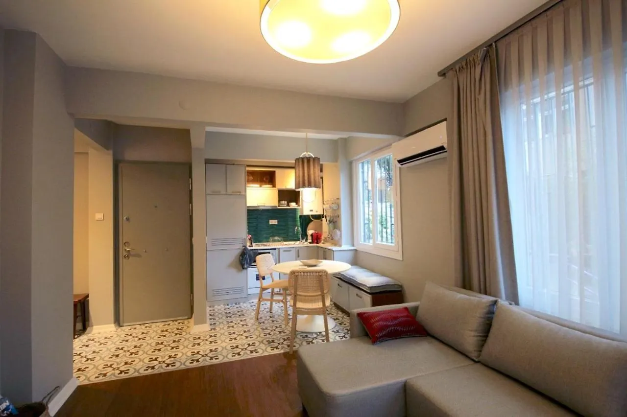 Superior Refurbished Flat In The Heart Of Istanbul Apartment